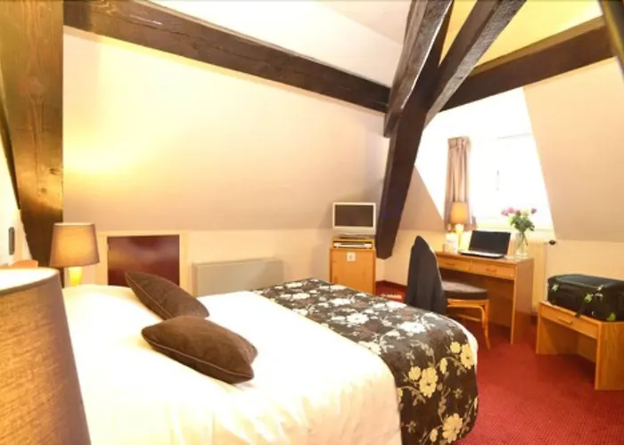 酒店 安格勒特里格勒诺布尔中心酒店 格勒诺布尔