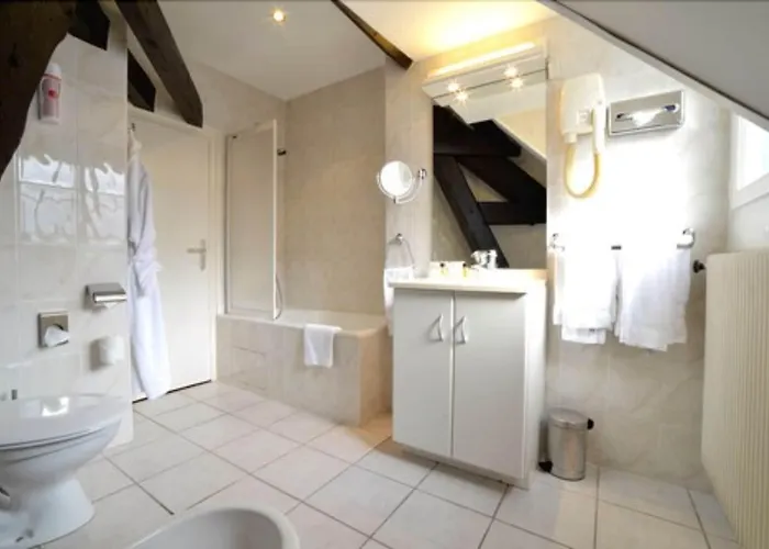 D'angleterre Hyper-centre Hotel 3*