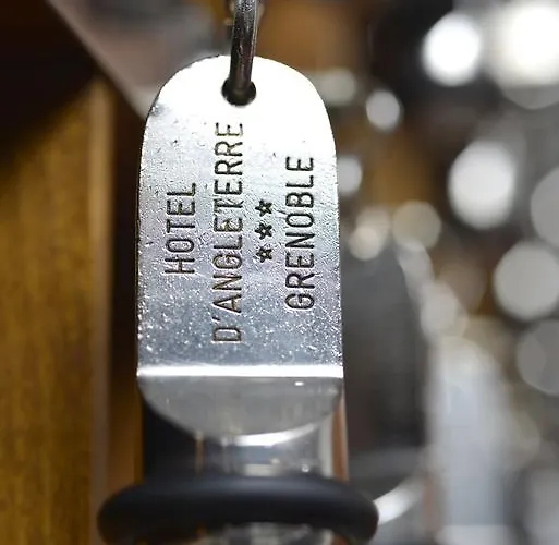 酒店 安格勒特里格勒诺布尔中心酒店